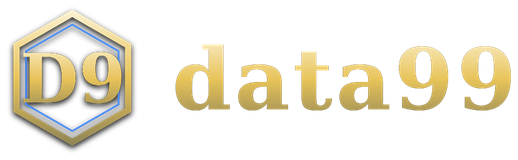 data99 logo